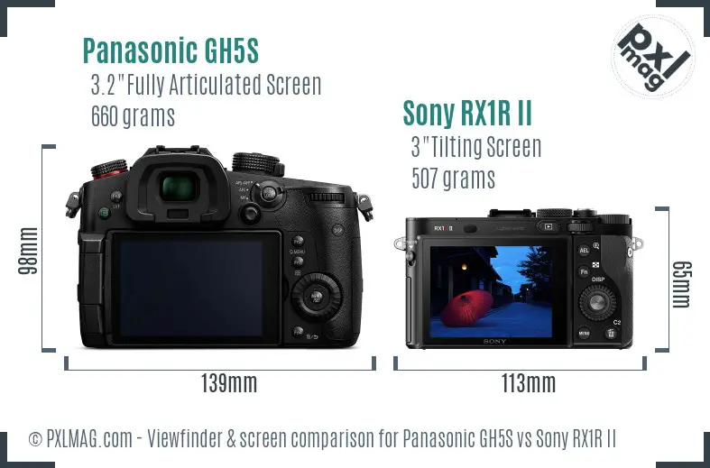 Panasonic GH5S vs Sony RX1R II Screen and Viewfinder comparison