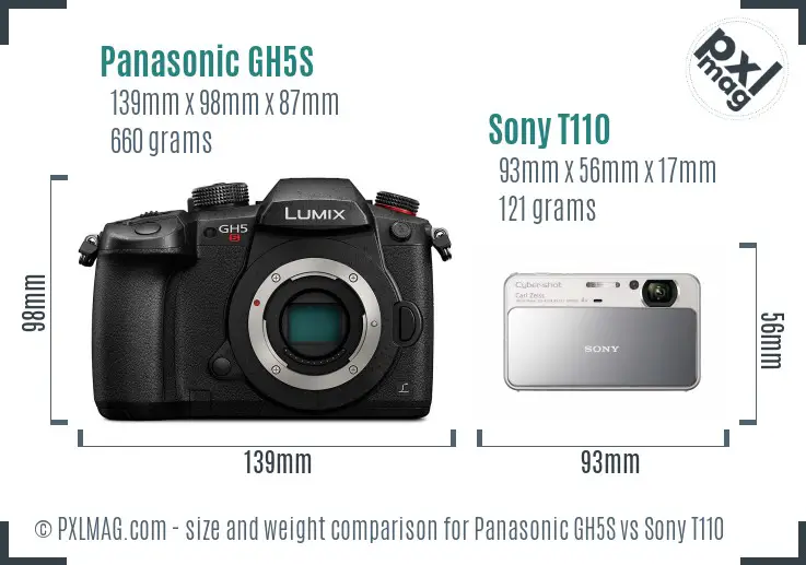 Panasonic GH5S vs Sony T110 size comparison