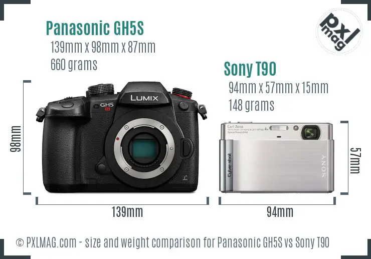 Panasonic GH5S vs Sony T90 size comparison