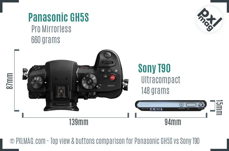 Panasonic GH5S vs Sony T90 top view buttons comparison