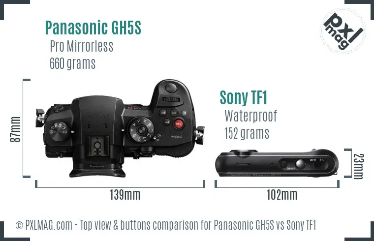 Panasonic GH5S vs Sony TF1 top view buttons comparison