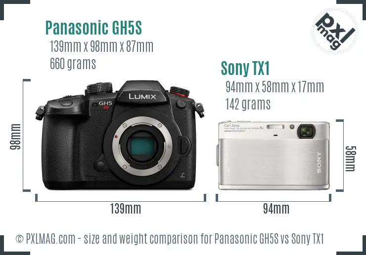 Panasonic GH5S vs Sony TX1 size comparison