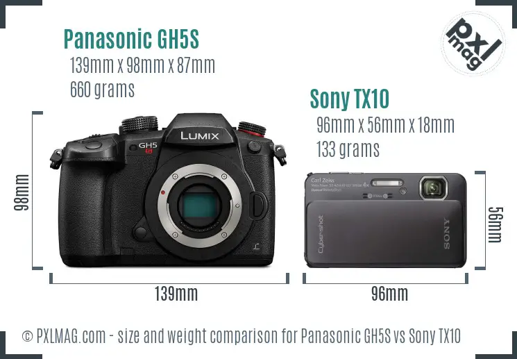 Panasonic GH5S vs Sony TX10 size comparison
