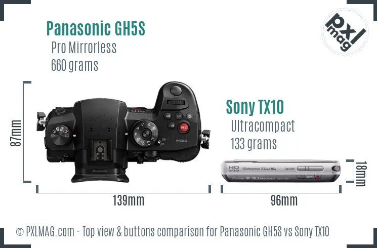 Panasonic GH5S vs Sony TX10 top view buttons comparison