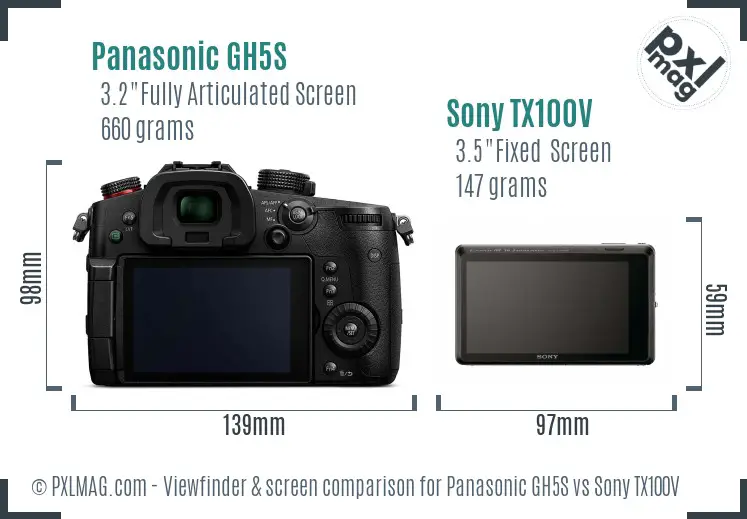 Panasonic GH5S vs Sony TX100V Screen and Viewfinder comparison