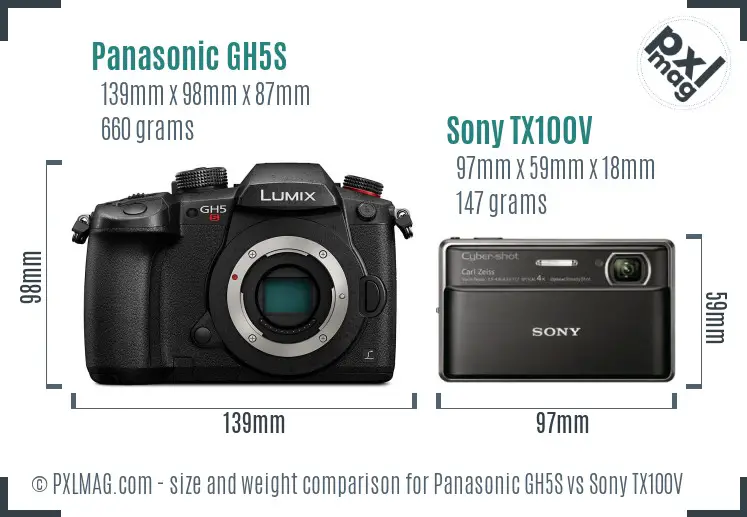 Panasonic GH5S vs Sony TX100V size comparison