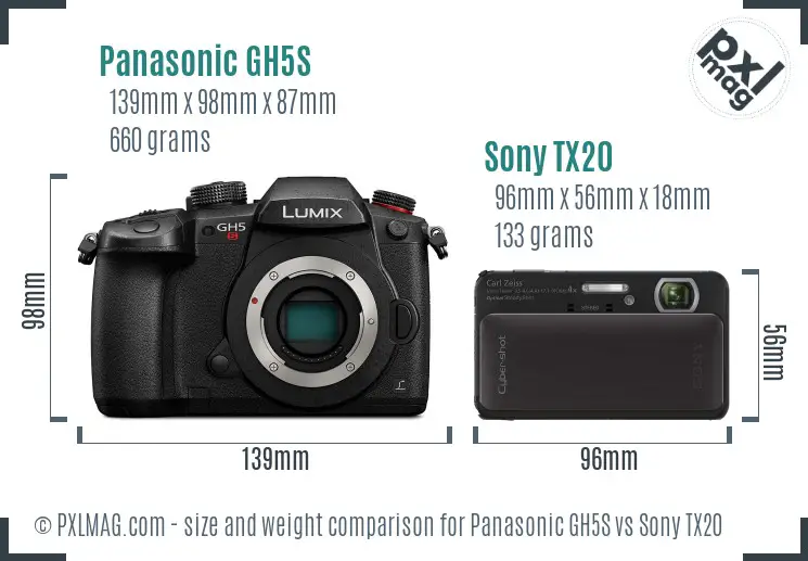 Panasonic GH5S vs Sony TX20 size comparison