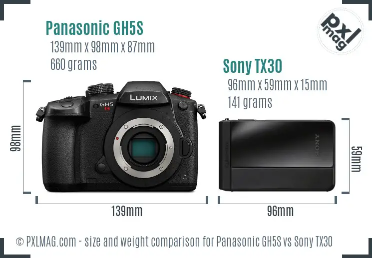Panasonic GH5S vs Sony TX30 size comparison