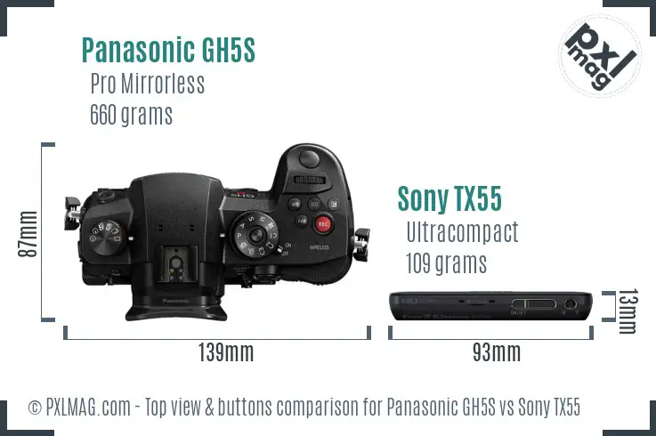 Panasonic GH5S vs Sony TX55 top view buttons comparison Panasonic GH5S vs Sony TX55 top view buttons comparison