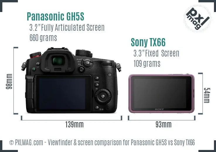 Panasonic GH5S vs Sony TX66 Screen and Viewfinder comparison