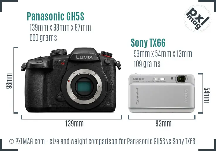 Panasonic GH5S vs Sony TX66 size comparison