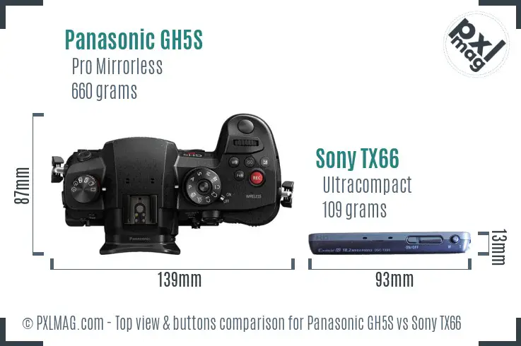 Panasonic GH5S vs Sony TX66 top view buttons comparison