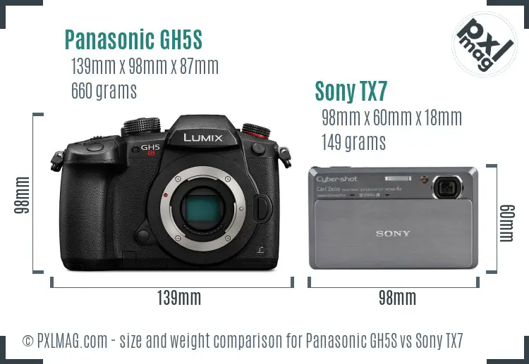 Panasonic GH5S vs Sony TX7 size comparison