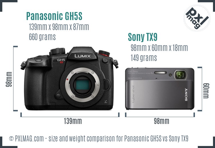 Panasonic GH5S vs Sony TX9 size comparison