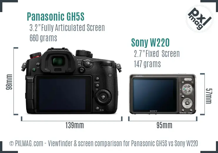 Panasonic GH5S vs Sony W220 Screen and Viewfinder comparison