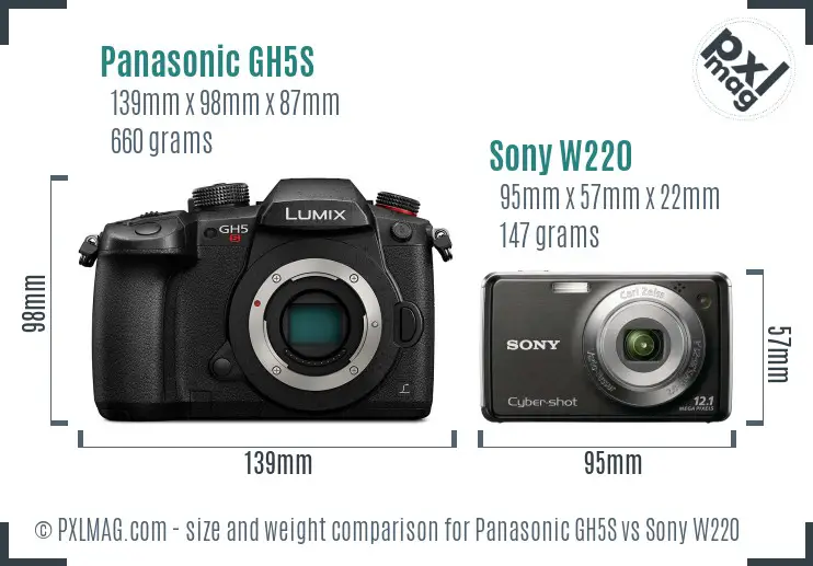 Panasonic GH5S vs Sony W220 size comparison