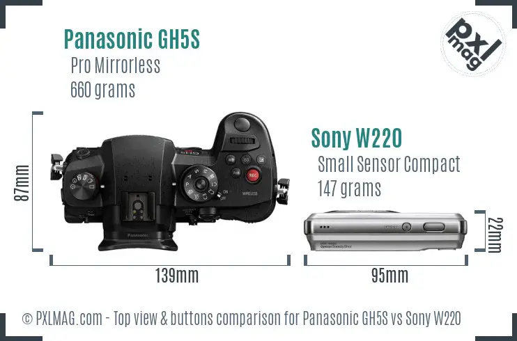 Panasonic GH5S vs Sony W220 top view buttons comparison