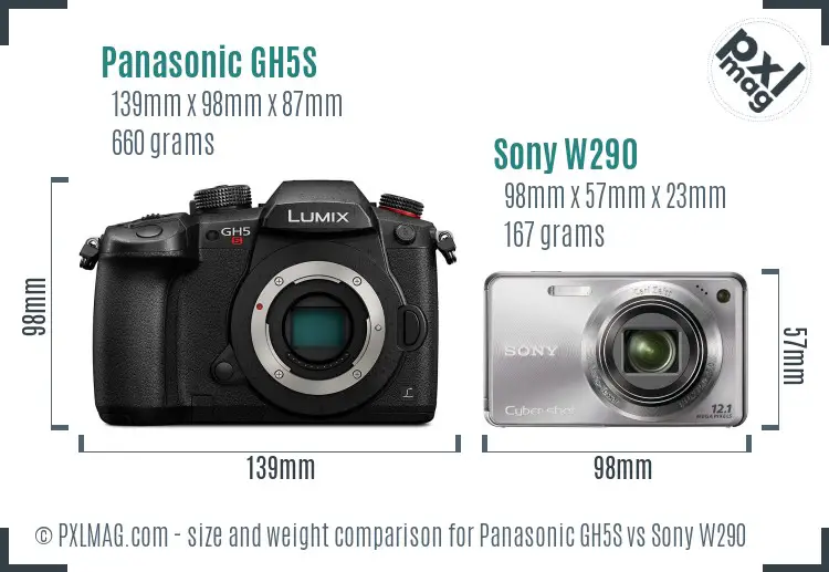 Panasonic GH5S vs Sony W290 size comparison