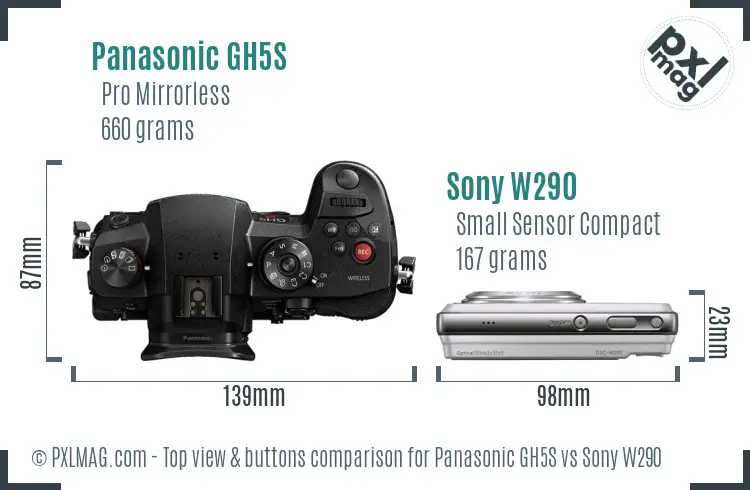 Panasonic GH5S vs Sony W290 top view buttons comparison