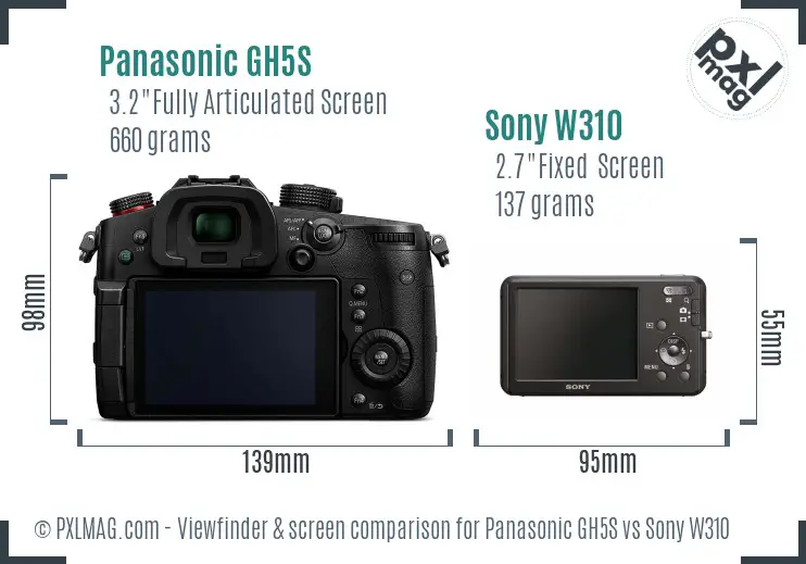 Panasonic GH5S vs Sony W310 Screen and Viewfinder comparison