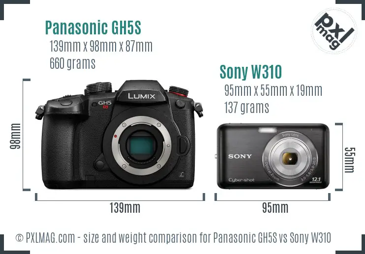 Panasonic GH5S vs Sony W310 size comparison