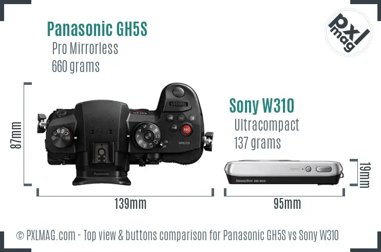 Panasonic GH5S vs Sony W310 top view buttons comparison