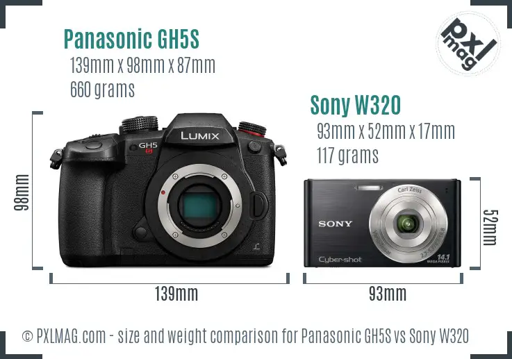 Panasonic GH5S vs Sony W320 size comparison