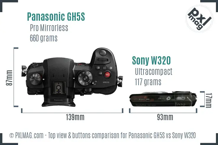 Panasonic GH5S vs Sony W320 top view buttons comparison