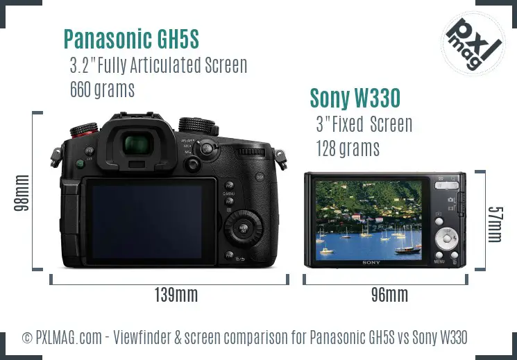 Panasonic GH5S vs Sony W330 Screen and Viewfinder comparison