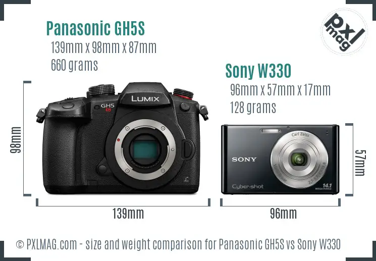 Panasonic GH5S vs Sony W330 size comparison