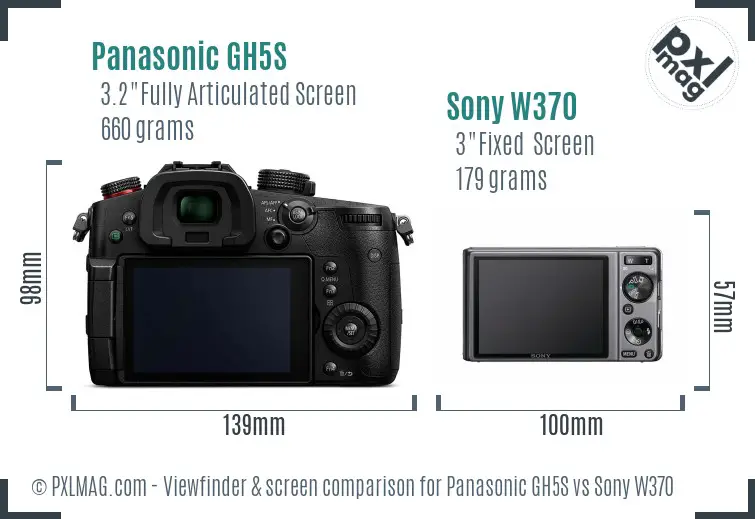 Panasonic GH5S vs Sony W370 Screen and Viewfinder comparison