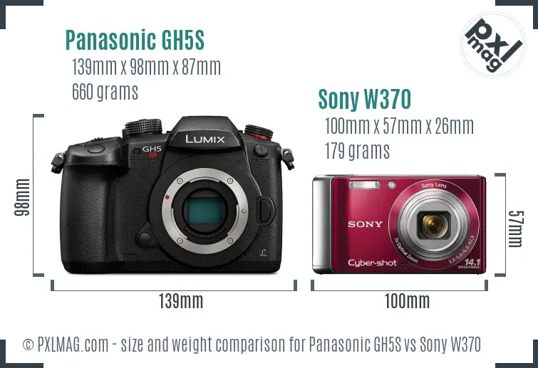 Panasonic GH5S vs Sony W370 size comparison