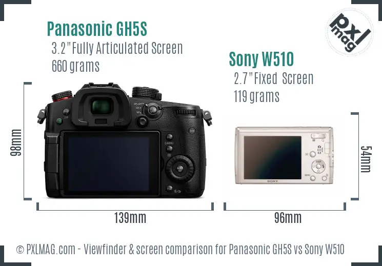 Panasonic GH5S vs Sony W510 Screen and Viewfinder comparison