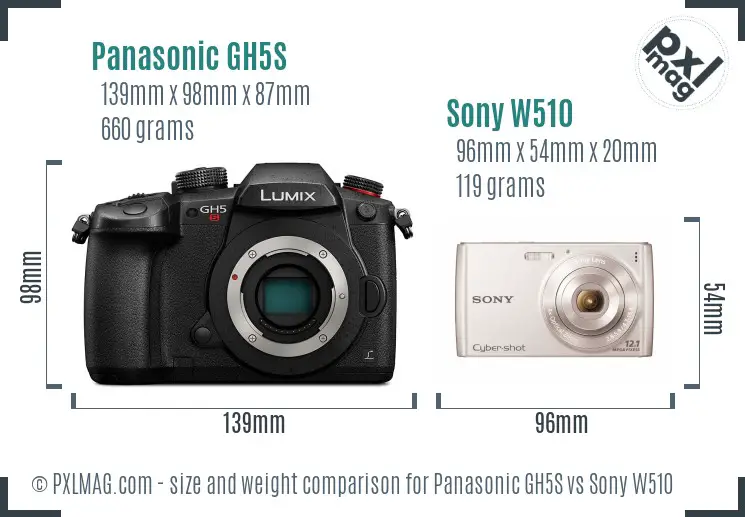 Panasonic GH5S vs Sony W510 size comparison