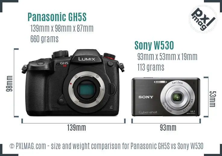 Panasonic GH5S vs Sony W530 size comparison