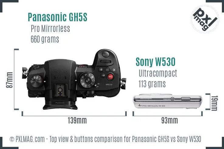 Panasonic GH5S vs Sony W530 top view buttons comparison