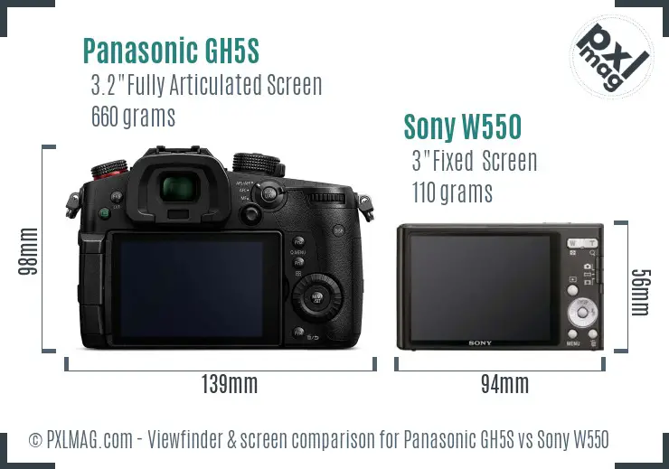 Panasonic GH5S vs Sony W550 Screen and Viewfinder comparison