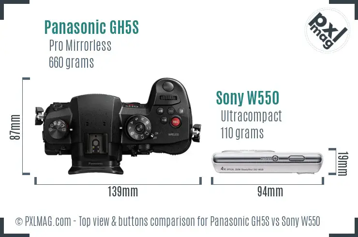 Panasonic GH5S vs Sony W550 top view buttons comparison