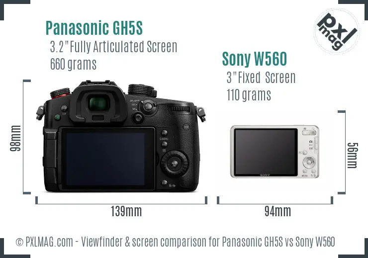 Panasonic GH5S vs Sony W560 Screen and Viewfinder comparison