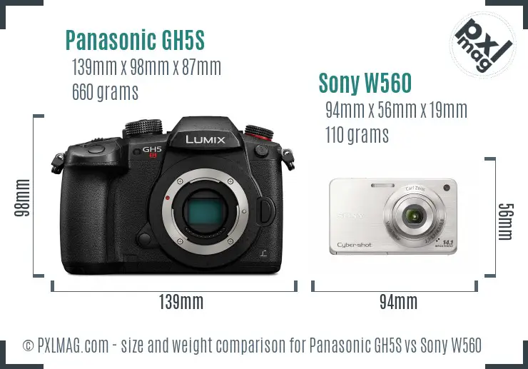 Panasonic GH5S vs Sony W560 size comparison