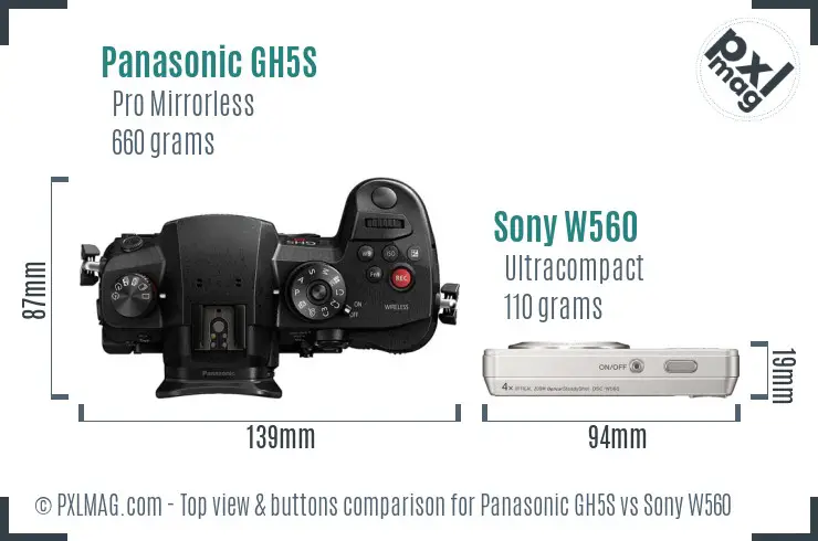 Panasonic GH5S vs Sony W560 top view buttons comparison