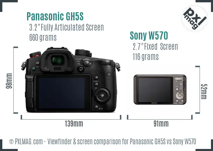 Panasonic GH5S vs Sony W570 Screen and Viewfinder comparison