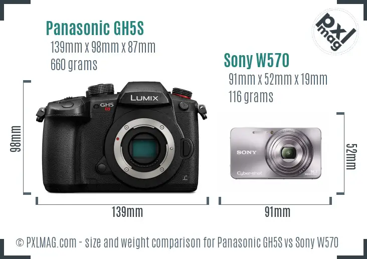 Panasonic GH5S vs Sony W570 size comparison