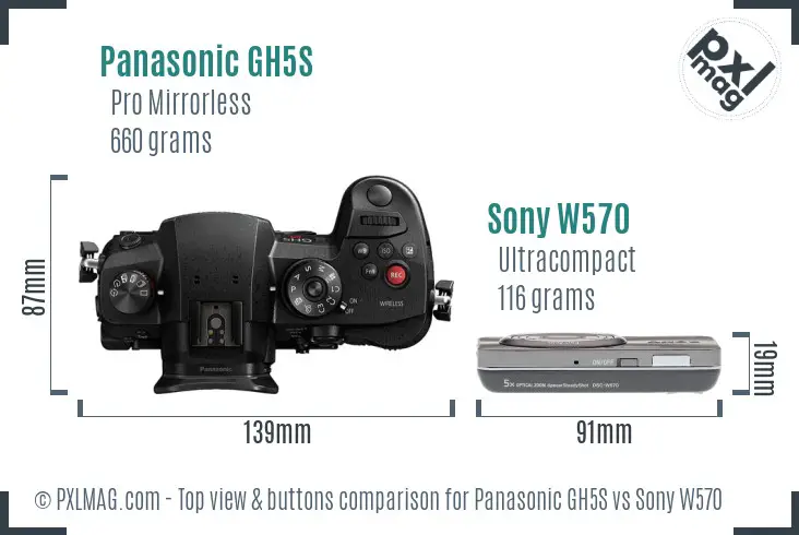 Panasonic GH5S vs Sony W570 top view buttons comparison