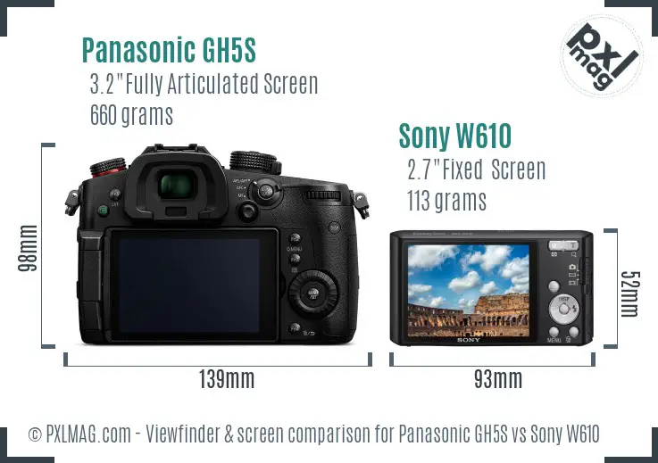 Panasonic GH5S vs Sony W610 Screen and Viewfinder comparison