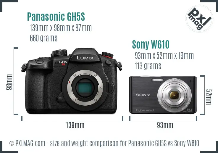 Panasonic GH5S vs Sony W610 size comparison