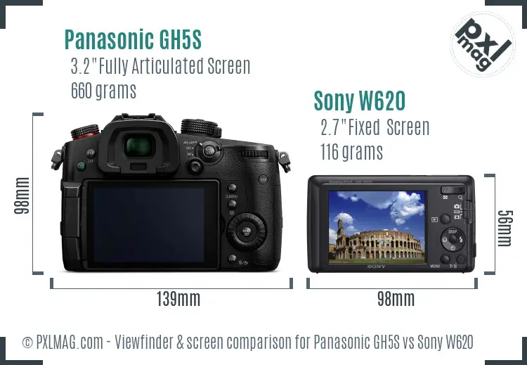 Panasonic GH5S vs Sony W620 Screen and Viewfinder comparison