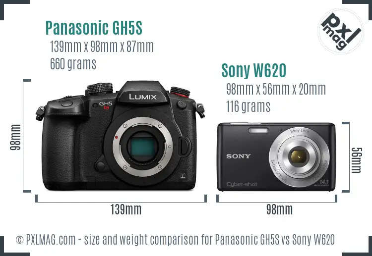 Panasonic GH5S vs Sony W620 size comparison