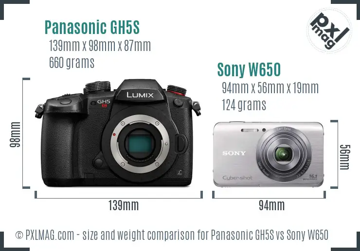 Panasonic GH5S vs Sony W650 size comparison