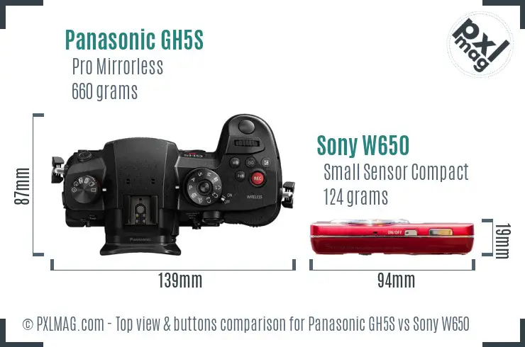 Panasonic GH5S vs Sony W650 top view buttons comparison